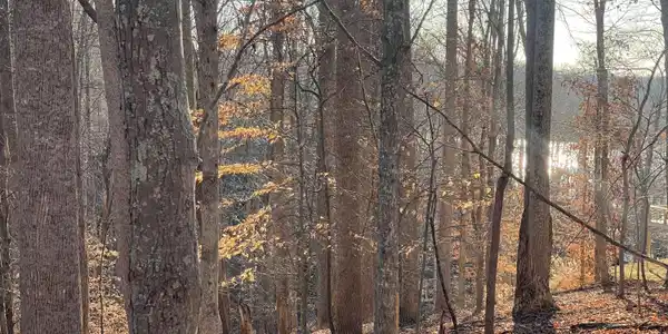 Image 4: Lake View 3