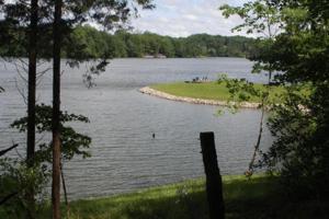 Lot 8 Juniper RD