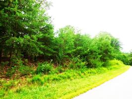 Lot 4 Waterford DR