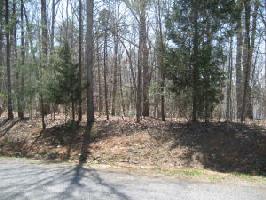LOT 130 CAPEWOOD DR