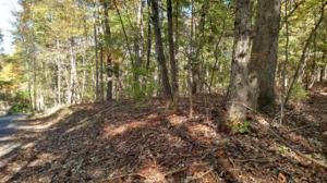 Lot 4 Charmwood CIR