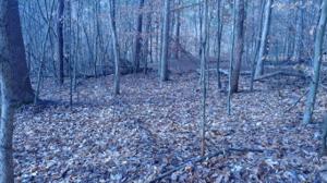 Lot 35 Long Pine CT