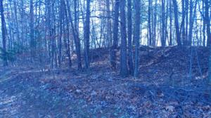 Lot 52 Forest Lawn DR