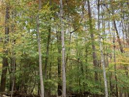 Lot 16 Little Creek RD