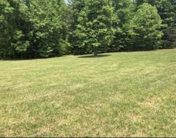 Tract 1-AB Lakewood Forest RD