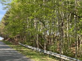 Lot 54 Hardwood CT