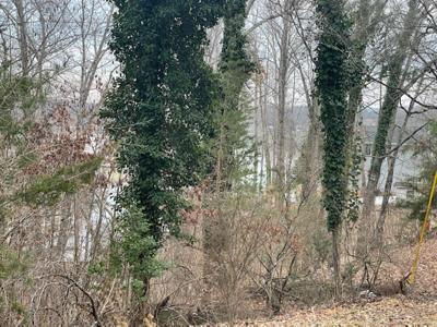 Lot 50 Overlook CIR