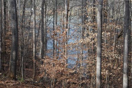 Lot 10 Lake Knoll RD