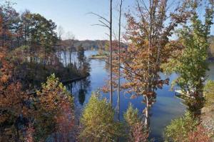 Lot 29 Water Edge Pointe