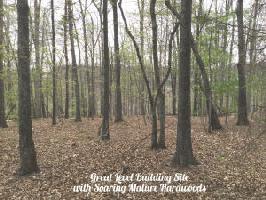 Lot 36 Old Mill DR