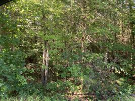 Lot 135 Forest Lawn DR