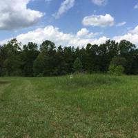 Lot #2 and 3 Buck Run DR