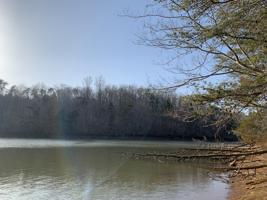 Lot #5F Tract 5F Hines Chapel RD