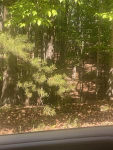 Lot 8 Crawford DR
