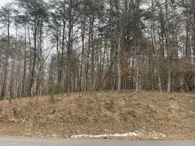 Lot 62 Gap Bridge RD