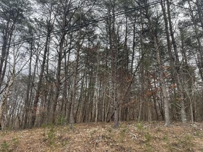 Lot 63 Gap Bridge RD