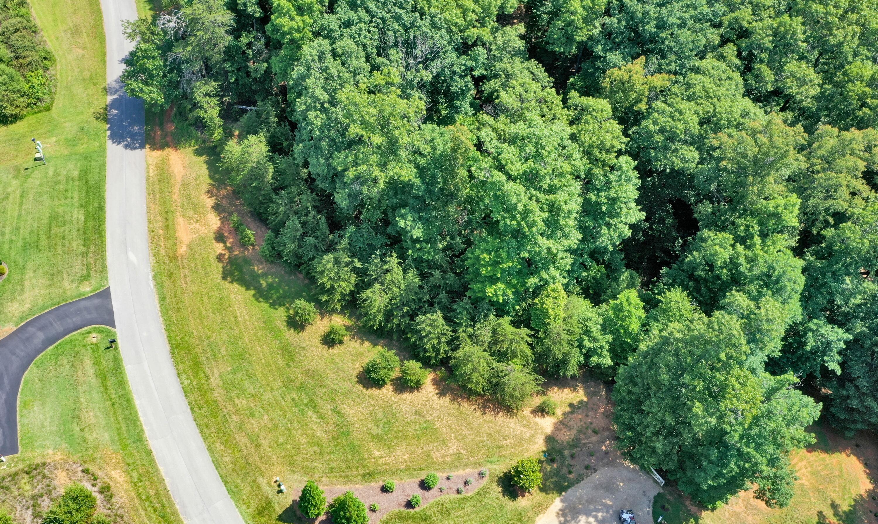Image 3: Lot aerial