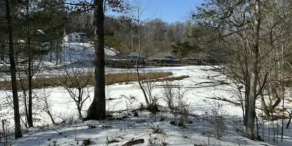 Lot 42 Lakewatch CIR