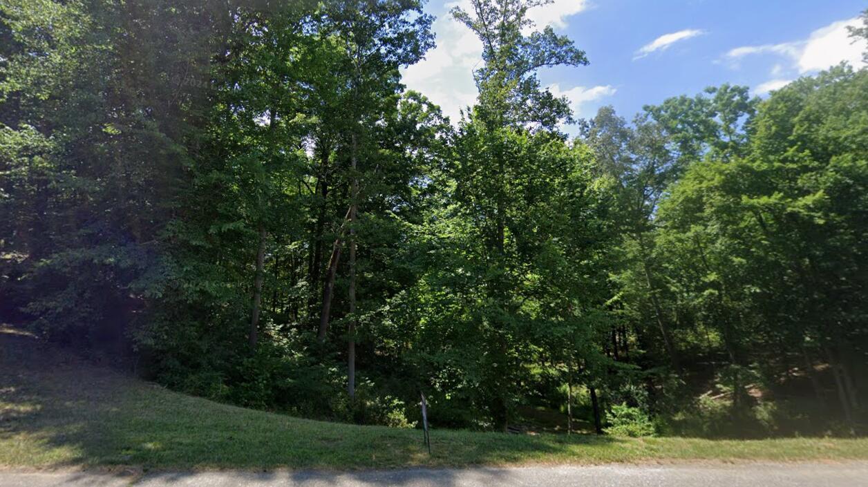 Image 3: Road view