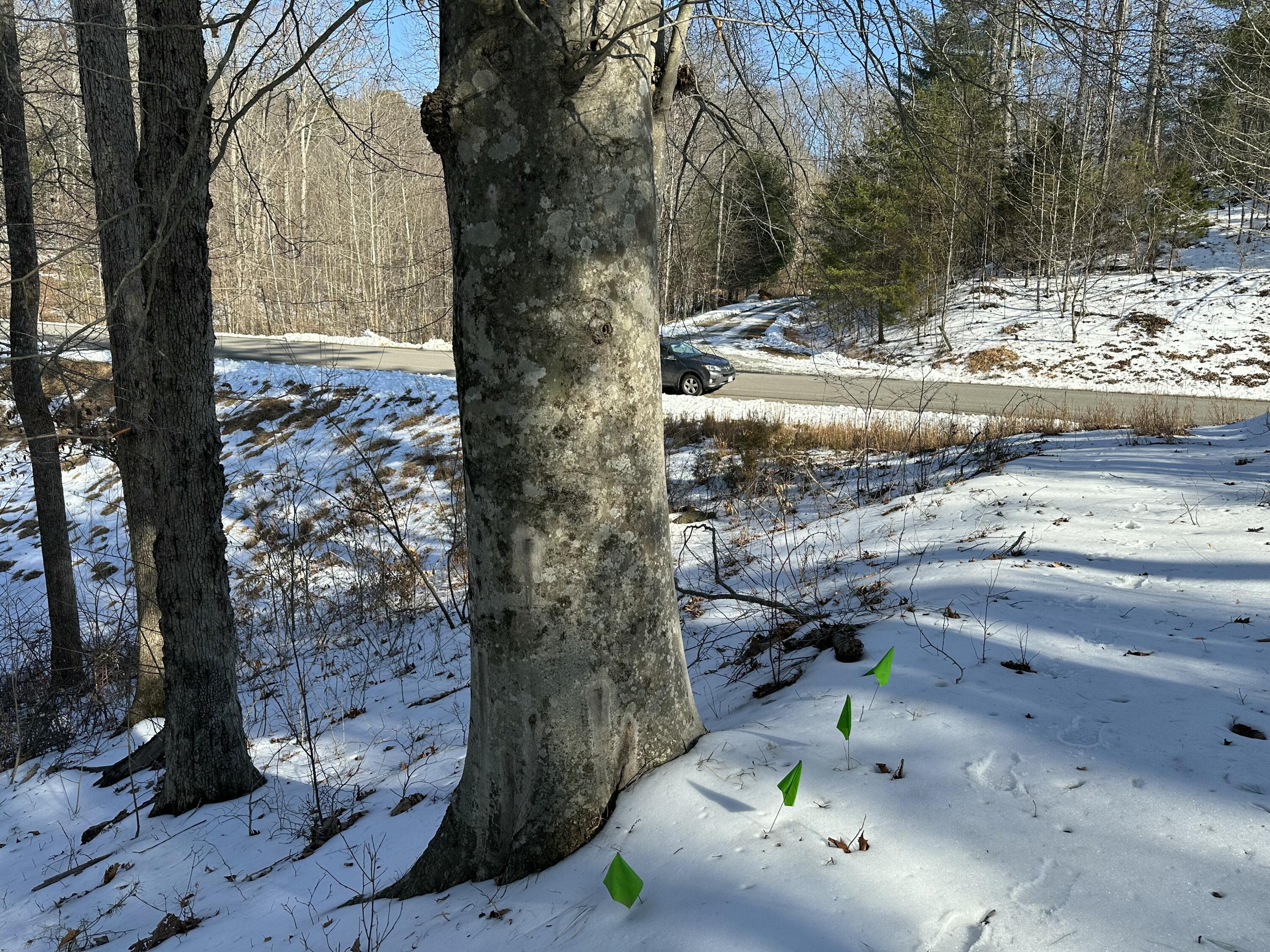 Image 4: IMG_3759