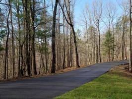 Lot 50 Forest Lawn DR