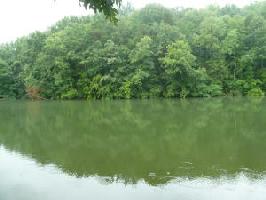 0 STAR LAKE RD Lot #1