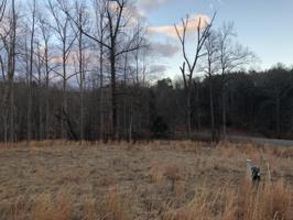 Lot 15 Watchtower DR