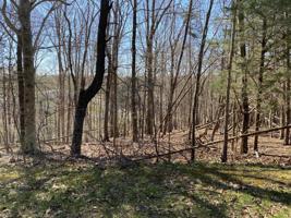 Lot 55 Shad Run DR