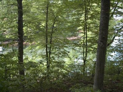 Lot 101 Jacobs Hollow