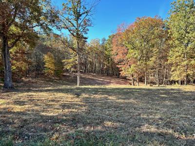 Lot 9 Belle Isle DR