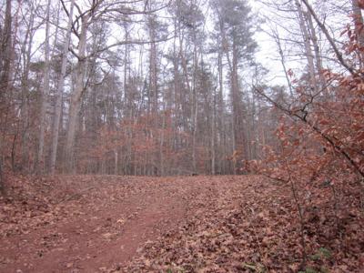 Lot #6 PARKSIDE ACRES LN