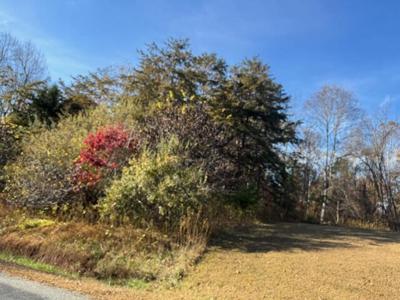 Lot 16 Walnut Run DR