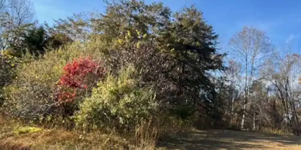 Lot 16 Walnut Run DR