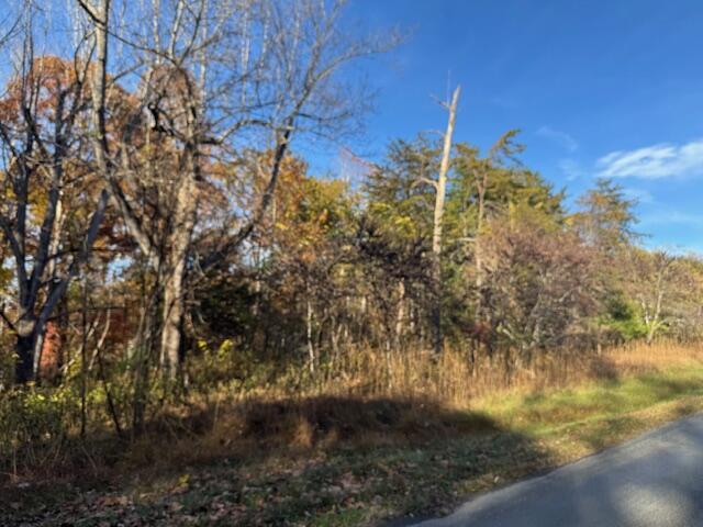 Image 2: IMG_6854