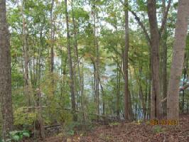 Lot 79 Old Mill DR