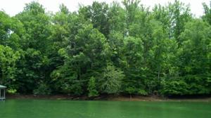 Lot 216 ACRES CT