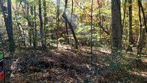 Lot 81 Summerset DR