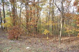 Lot 12 Gap Bridge RD