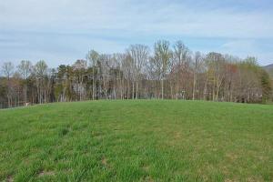 Lot 509 South View CIR