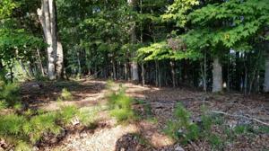 Lot #14 WINDLASS RD