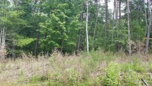 Lot 71 Gap Bridge RD