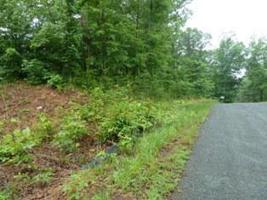 Lot 6 Limerick LN