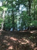 Lot 3 Cathedral Oaks LN