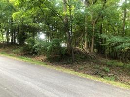 Lot 23 Catamaran LN