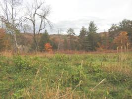 Lot 32 River Rock RD