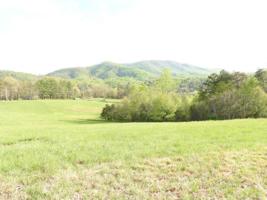 Lot 41 River Rock RD