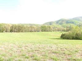Lot 42 River Rock RD