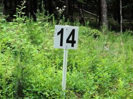 Lot 14 Belle Isle DR