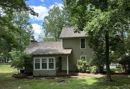 100 Black Locust CT