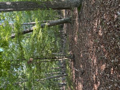 Lot 75 Mountain View Shores
